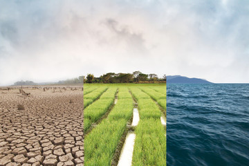 Climate change, compare image with Drought, Green field and Ocean metaphor Nature disaster, World climate and Environment, Ecology system. - obrazy, fototapety, plakaty