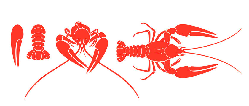 Crayfish logo. Isolated crayfish on white background