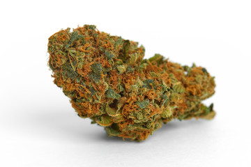 Close up of prescription and recreational indica medical marijuana isolated on monochrome background