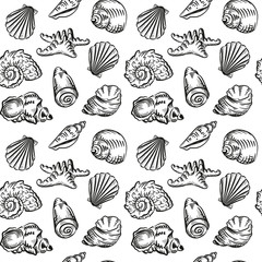 Fototapeta na wymiar Sea shells hand drawn sketch style illustration pattern isolated on white background