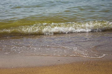 Soft wave of the sea on the sandy beach