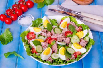 Tuna salad with lettuce leaves, boiled eggs, tomatoes, cucumbers, onions and basil