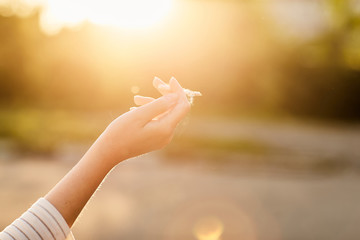 girl holding a Smoking cigarette at sunset