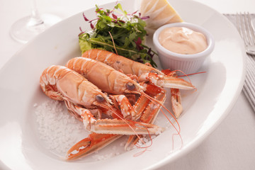 Scottish Langoustines