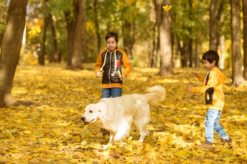 A small boys dressed in jeans and a yellow jacket emotionally play with  large white Labrador dog.  They are walking in the autumn park.