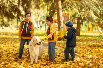 A small three boys emotionally play with  large white Labrador dog.
