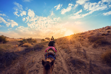 the tourists on the camel in the desert in Jaisalmer, Rajasthan, India