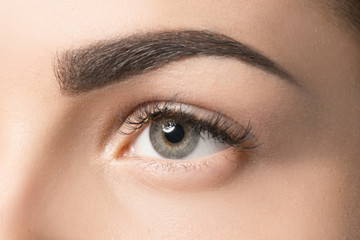 Young woman with permanent eyebrows makeup, closeup - obrazy, fototapety, plakaty