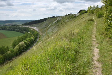 Pagny la blanche c&ocirc;te