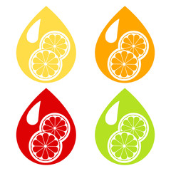 Drop with citrus flavor: orange, grapefruit, lemon, lime. Vector illustration.