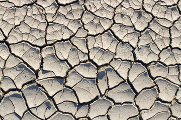 drought makes the ground interesting things / texture of cracked earth close-up