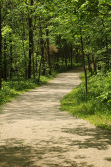 Off the Beaten Track