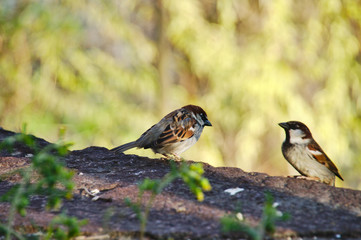 this is my beat get off