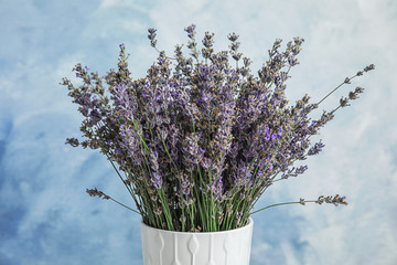 Pot with blooming lavender flowers on color background