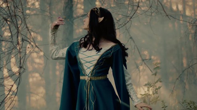 Female wood elf is posing in morning mist in forest. She is gripping wild flowers in hand and looking up