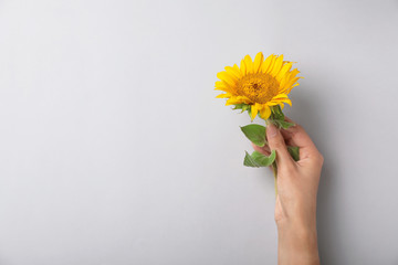 Woman with wild flower on grey background, top view