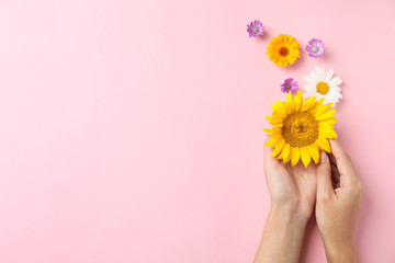 Woman with wild flowers on color background, top view