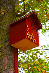 birdhouse on the tree