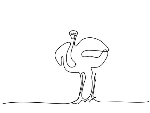 recommend clip art: Continuous line drawing. Ostrich walking symbol. Logo of the Ostrich. Vector illustration