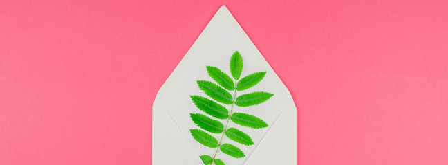 White letter mock up with fresh green leaves