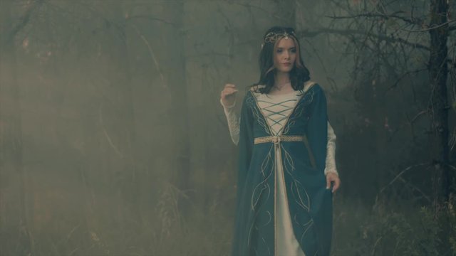 Sorceress of elfs is moving through mystical mist in woodland. She is touching her long medieval dress, artistic shooting of fairytale character