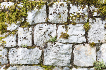 Old mossy stone texture 