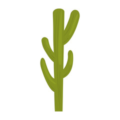 Obraz premium Cactus color icon