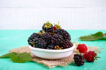 Delicious ripe blackberries in a ceramic bowl on a bright background.