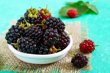 Delicious ripe blackberries in a ceramic bowl on a bright background.