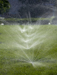 automatic sprinkler system watering the lawn on a background of green grass