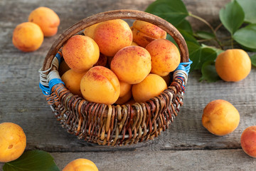 Fototapeta na wymiar Delicious ripe apricots in basket on wooden table, rustic.