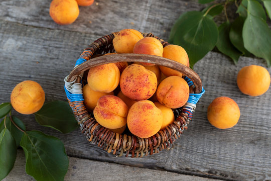 Delicious ripe apricots in basket on wooden table, rustic.