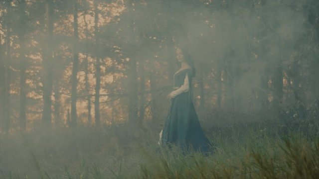 Mysterious elf woman is moving in magic smoke in a woodland. She is looking at camera and stepping on a grass, dark twilight