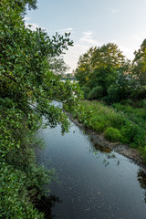 Flußlandschaft