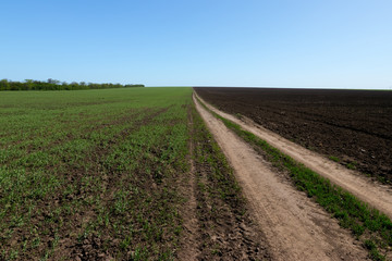 Fototapeta na wymiar trail between fields / dirt road outside the city of the field of Ukraine