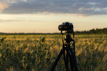 camera tripod sunset / decided to take your camera on the sunset background