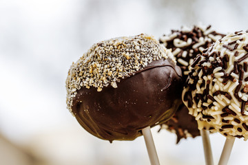 Delicious homemade coconut and chocolate cake pops