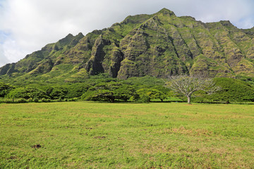 Kualoa dramatic cliffs, Oahu, Hawaii
