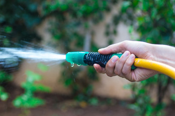 hand watering plants