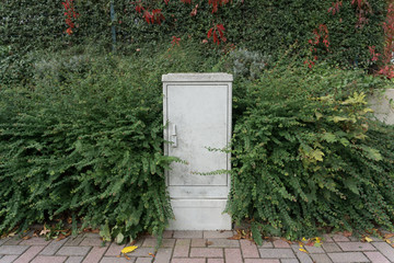 Gray electrical cabinet surrounded by green bushes on the sidewalk in the summer