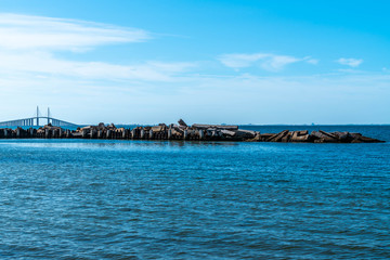 Obraz premium A park on Tampa Bay shows some incredible views of the water.