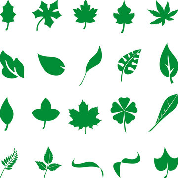 Gr&uuml;ne Bl&auml;tter Sammlung, green leaves collection, Button