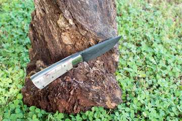 A Damascus knife with rams horn handle displayed on an old wood stump.