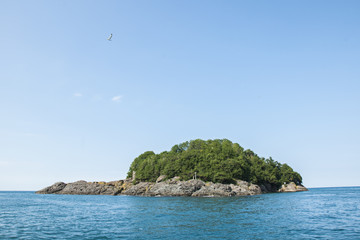 Giresun island aka amazon island in giresun city of turkey's Black Sea region