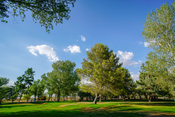 Obraz premium Apollo Park, California City, Park, Nature