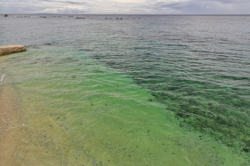 Rowboats with tourists prepared for whale shark spotting. Oslob-Cebu island-Philippines. 0565