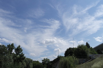 beautiful view. green trees and sky