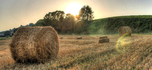 bales of hay at sunset