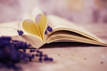 Heart shaped book pages