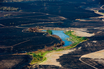 Fototapeta na wymiar Scorched trees and grass after the fire. Aerial view
